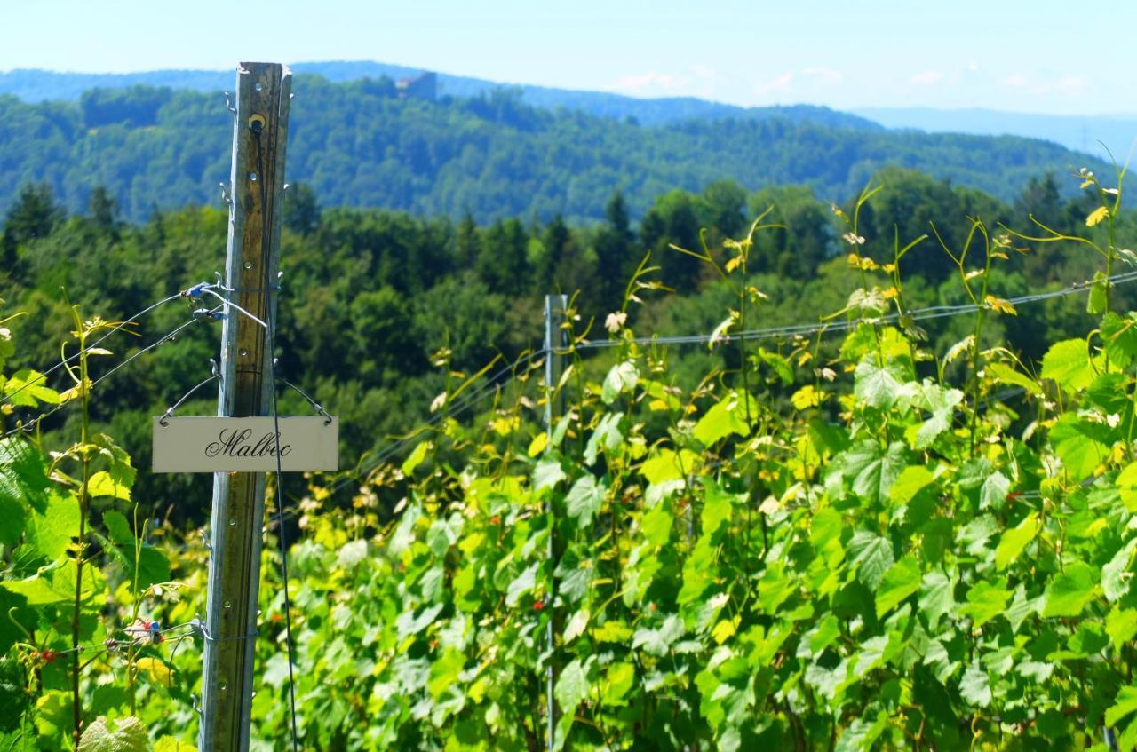 Prophetengut - Die Perle Im Jurapark Habsburg Exteriör bild